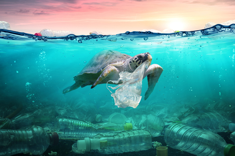 Reducir Plástico de los Océanos